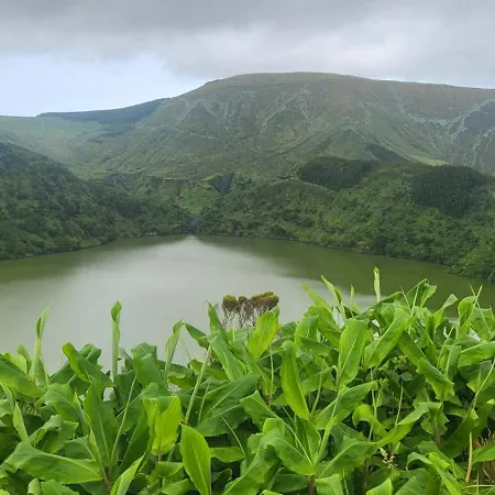 Dona Julia Santa Cruz das Flores
