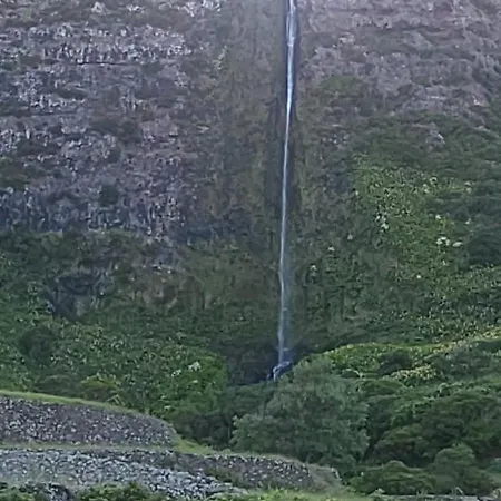 Dona Julia * Santa Cruz das Flores