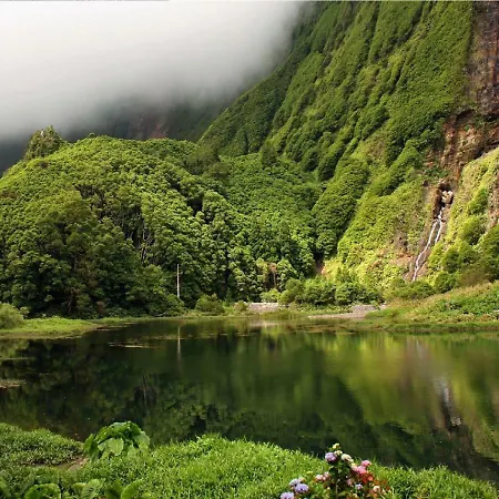 Dona Julia Santa Cruz das Flores