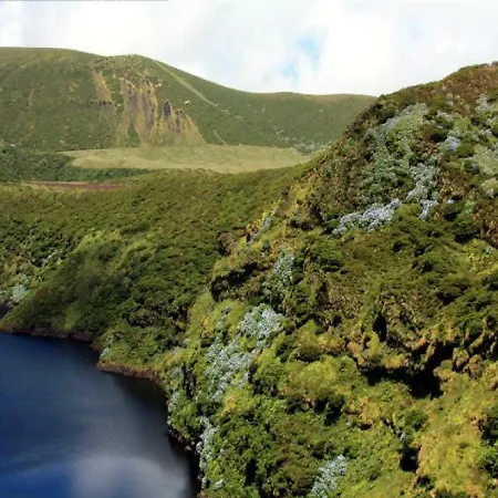 Dona Julia Санта-Круш-даш-Флориш