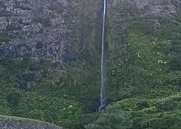 Dona Julia * Santa Cruz das Flores