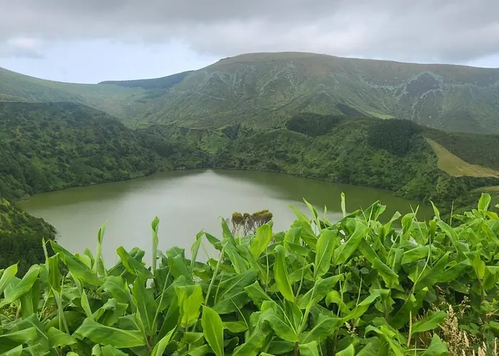 Dona Julia Santa Cruz das Flores