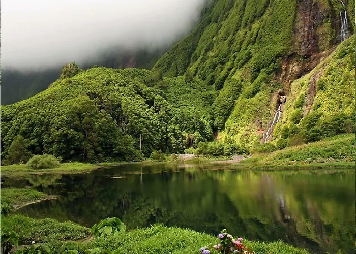 Dona Julia Santa Cruz das Flores