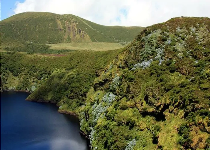 Dona Julia Santa Cruz das Flores